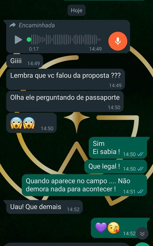 Depoimento 17 — Gisele Almeida