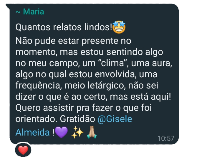 Feedback de participante da Visita Base Siriana