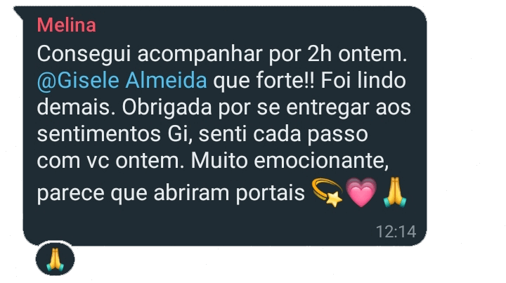 Feedback de participante da Visita Base Siriana