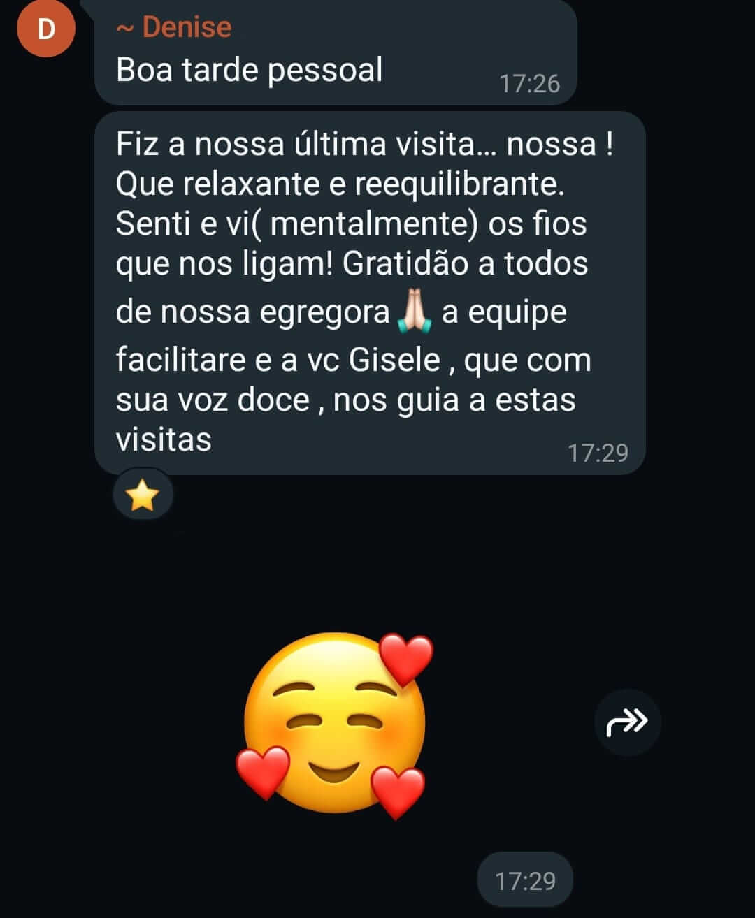 Feedback de participante da Visita Base Siriana