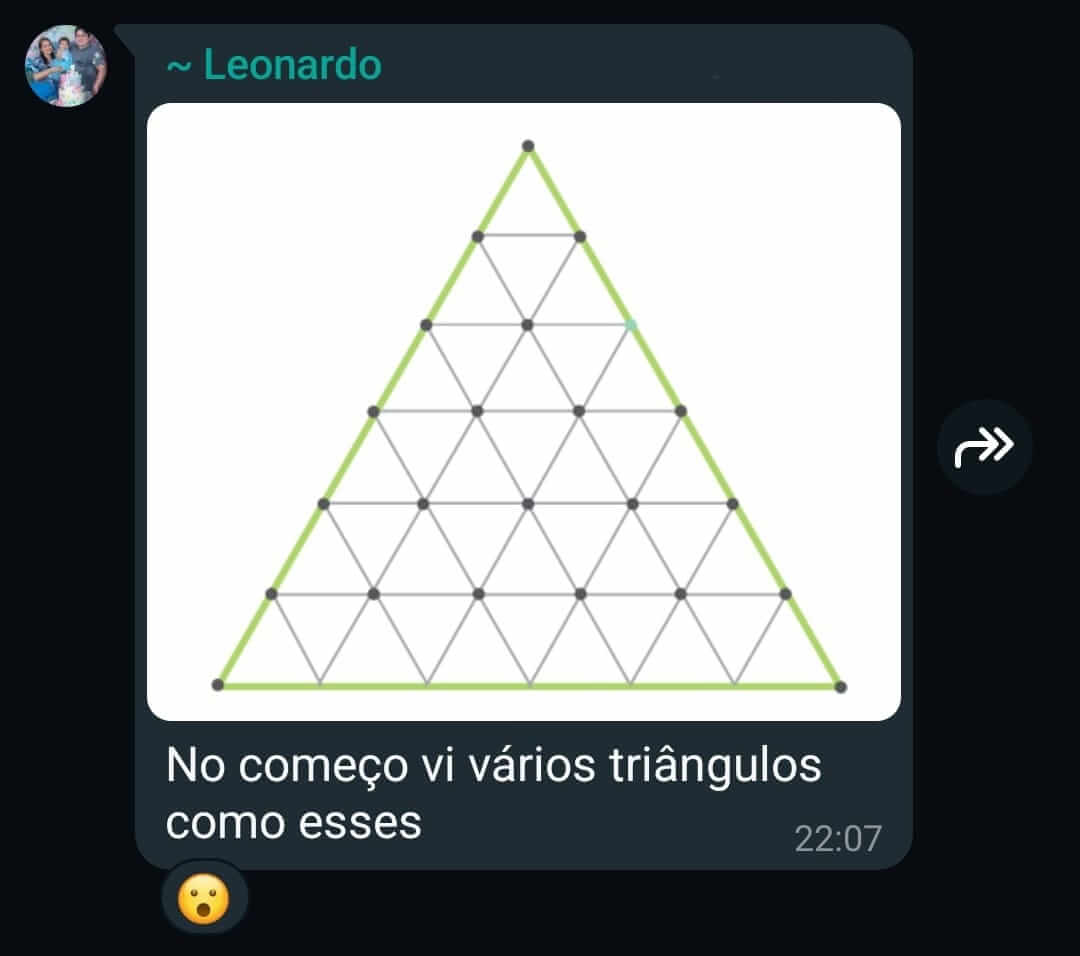 Feedback de participante da Visita Base Siriana